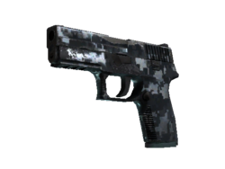 P250 | Steel Disruption (Field-Tested)