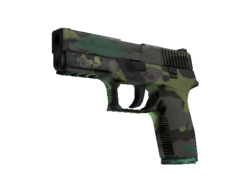 P250 | Boreal Forest (Field-Tested)