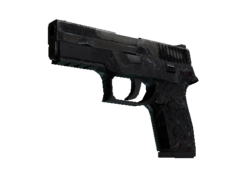 P250 | Dark Filigree (Battle-Scarred)