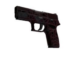 StatTrak™ P250 | Contaminant (Well-Worn)