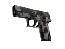 Souvenir P250 | Black & Tan (Field-Tested)