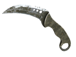 ★ Talon Knife | Safari Mesh (Battle-Scarred)