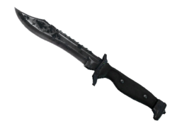 ★ Bowie Knife | Night (Battle-Scarred)