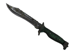 ★ Bowie Knife | Boreal Forest (Battle-Scarred)