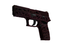 StatTrak™ P250 | Contaminant (Minimal Wear)