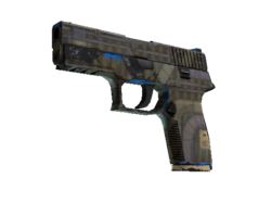 Souvenir P250 | Exchanger (Well-Worn)