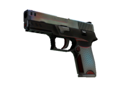 StatTrak™ P250 | Cyber Shell (Well-Worn)