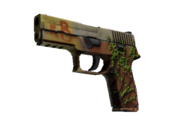 P250 | Inferno (Well-Worn)