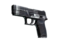 StatTrak™ P250 | Re.built (Minimal Wear)