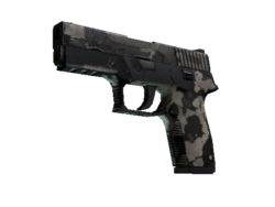 Souvenir P250 | Black & Tan (Battle-Scarred)