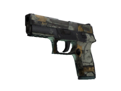 P250 | Modern Hunter (Battle-Scarred)