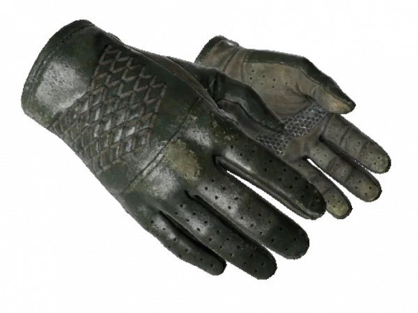 ★ Driver Gloves | Racing Green (Well-Worn)