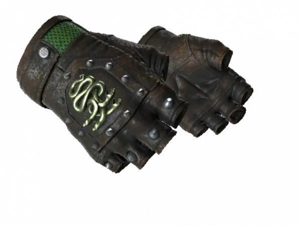 ★ Hydra Gloves | Emerald (Well-Worn)