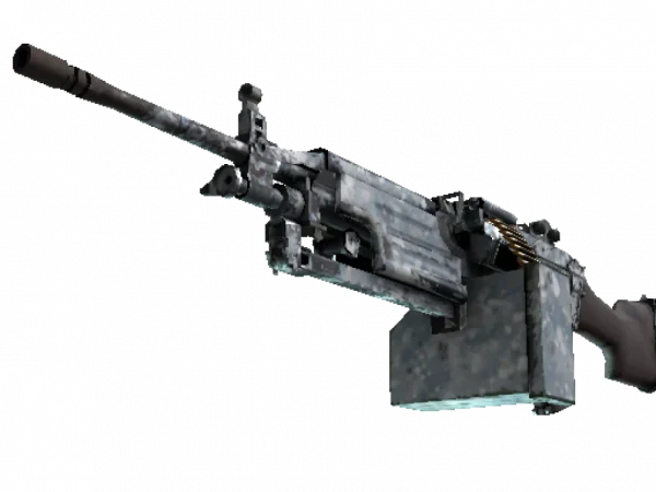 M249 | Blizzard Marbleized (Well-Worn)