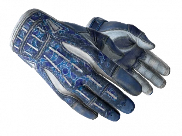 ★ Sport Gloves | Amphibious (Battle-Scarred)