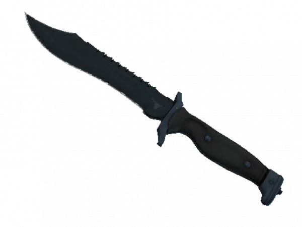 ★ Bowie Knife | Night (Minimal Wear)