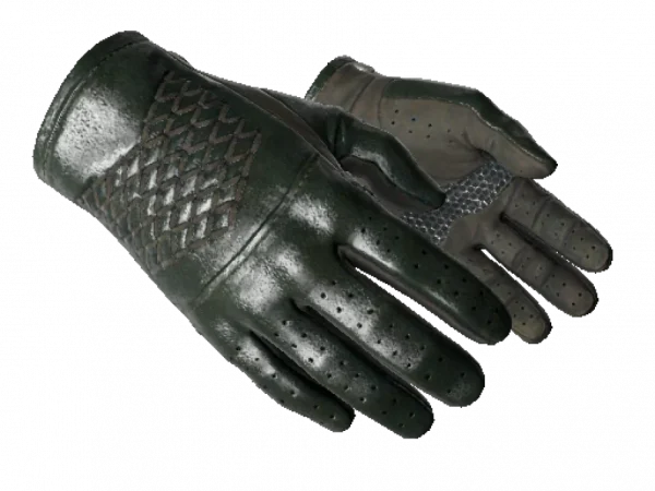 ★ Driver Gloves | Racing Green (Minimal Wear)