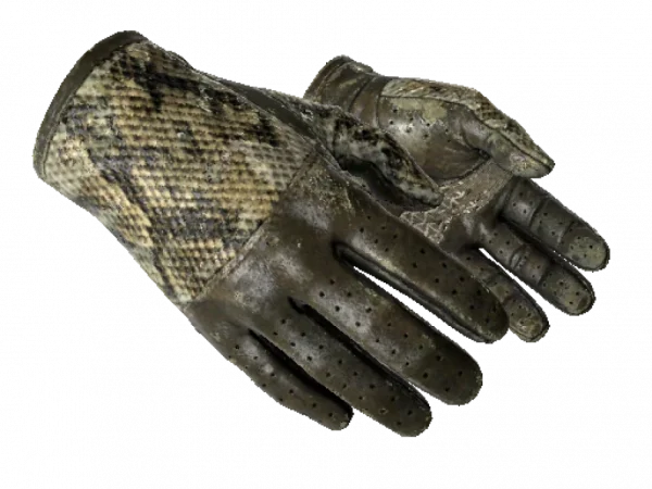 ★ Driver Gloves | Diamondback (Battle-Scarred)