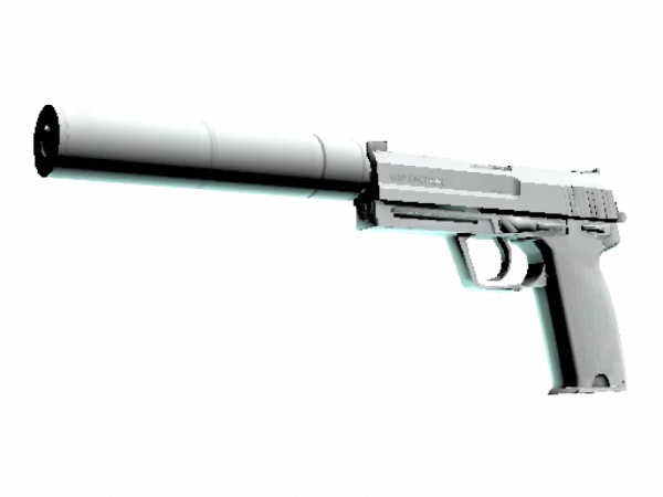 USP-S | Whiteout (Factory New)