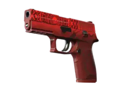 P250 | Muertos (Battle-Scarred)