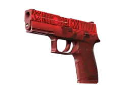 P250 | Muertos (Field-Tested)