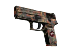 P250 | Red Rock (Well-Worn)