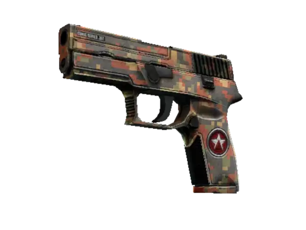 P250 | Red Rock (Well-Worn)