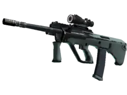 Souvenir AUG | Storm (Well-Worn)
