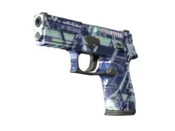 Souvenir P250 | Digital Architect (Well-Worn)