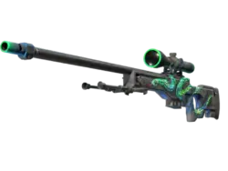 StatTrak™ AWP | Atheris (Battle-Scarred)