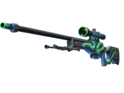 StatTrak™ AWP | Atheris (Field-Tested)