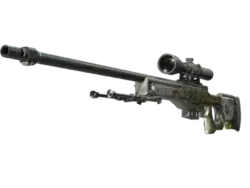 StatTrak™ AWP | Worm God (Field-Tested)