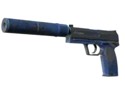 StatTrak™ USP-S | Blueprint (Battle-Scarred)