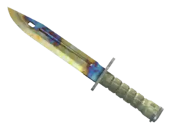 ★ Bayonet | Case Hardened (Well-Worn)
