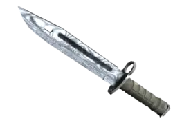 ★ Bayonet | Damascus Steel (Well-Worn)