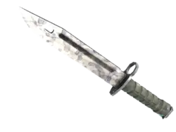 ★ Bayonet | Stained (Factory New)