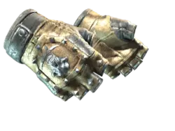 ★ Bloodhound Gloves | Bronzed (Well-Worn)