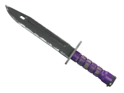 ★ StatTrak™ Bayonet | Ultraviolet (Field-Tested)