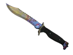 ★ StatTrak™ Bowie Knife | Case Hardened (Well-Worn)
