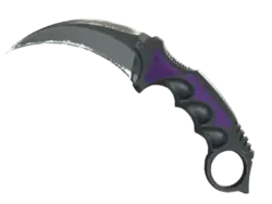 ★ StatTrak™ Karambit | Ultraviolet (Field-Tested)