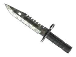 ★ StatTrak™ M9 Bayonet | Stained (Battle-Scarred)