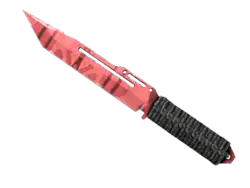 ★ StatTrak™ Paracord Knife | Slaughter (Field-Tested)