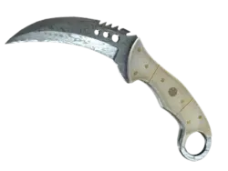 ★ StatTrak™ Talon Knife | Damascus Steel (Field-Tested)
