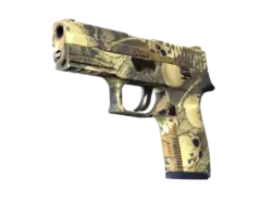 P250 | Contamination (Factory New)