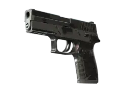 P250 | Dark Filigree (Battle-Scarred)
