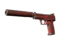 Souvenir USP-S | Check Engine (Well-Worn)