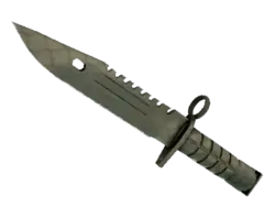 ★ M9 Bayonet | Safari Mesh (Minimal Wear)