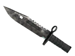 ★ StatTrak™ M9 Bayonet | Stained (Well-Worn)