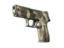 P250 | Bone Mask (Well-Worn)
