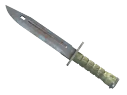 ★ StatTrak™ Bayonet | Rust Coat (Well-Worn)